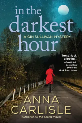 V najtemnejšej hodine: Záhada Gina Sullivana - In the Darkest Hour: A Gin Sullivan Mystery