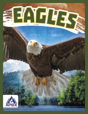 Orly - Eagles