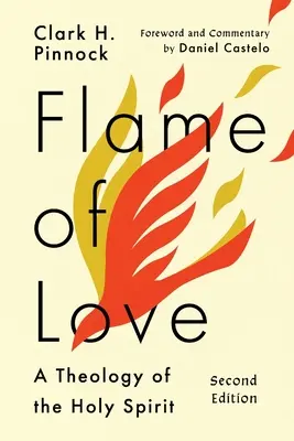Plameň lásky: Tri pohľady na osud neevanjelizovaných - Flame of Love: Three Views on the Destiny of the Unevangelized