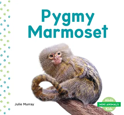 Pygmejská marmoška - Pygmy Marmoset