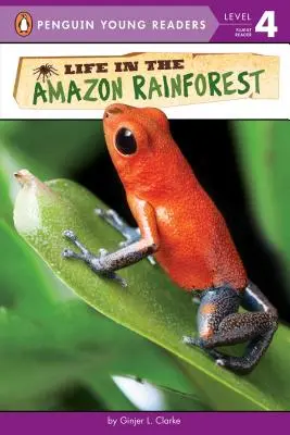Život v amazonskom pralese - Life in the Amazon Rainforest