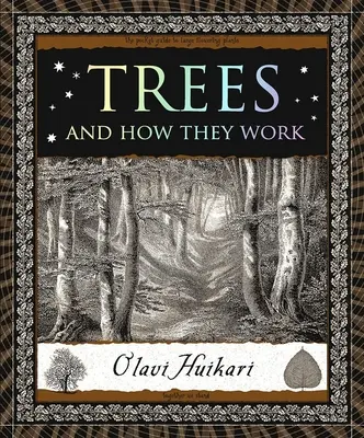 Stromy: A ako fungujú - Trees: And How They Work
