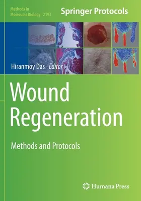 Regenerácia rán: Metódy a protokoly - Wound Regeneration: Methods and Protocols