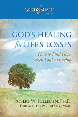 Božie uzdravenie pri životných stratách: Ako nájsť nádej, keď sa trápite - God's Healing for Life's Losses: How to Find Hope When You're Hurting