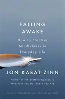 Prebúdzanie - Ako praktizovať bdelosť v každodennom živote - Falling Awake - How to Practice Mindfulness in Everyday Life