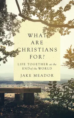 Načo sú kresťania?: Spoločný život na konci sveta - What Are Christians For?: Life Together at the End of the World
