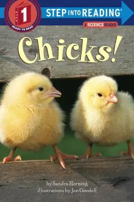 Kočky! - Chicks!
