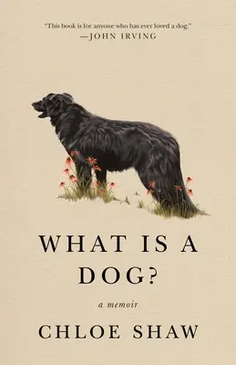 Čo je to pes? Memoáre - What Is a Dog?: A Memoir