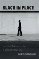 Čierna na mieste: Priestorová estetika rasy v post-čokoládovom meste - Black in Place: The Spatial Aesthetics of Race in a Post-Chocolate City