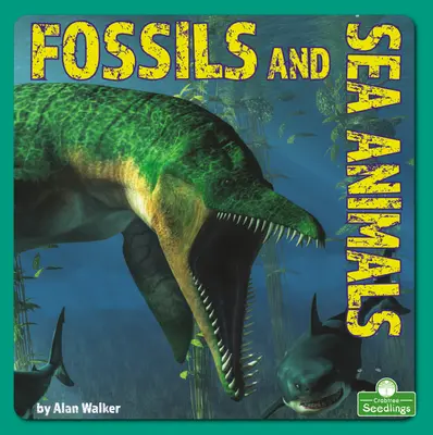 Skameneliny a morské živočíchy - Fossils and Sea Animals