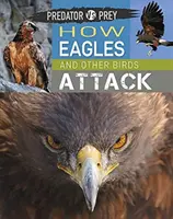 Dravec proti koristi: Ako útočia orly a iné vtáky! - Predator Vs Prey: How Eagles and Other Birds Attack!