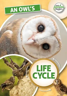 Životný cyklus sovy - Owl's Life Cycle