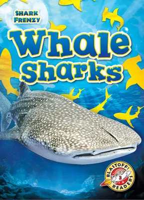 Žraloky veľrybie - Whale Sharks