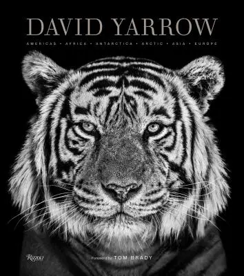 David Yarrow Photography: Amerika Afrika Antarktída Arktída Ázia Európa - David Yarrow Photography: Americas Africa Antarctica Arctic Asia Europe