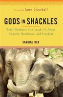 Bohovia v okovoch - Čo nás slony môžu naučiť o empatii, odolnosti a slobode - Gods in Shackles - What Elephants Can Teach Us About Empathy, Resilience and Freedom