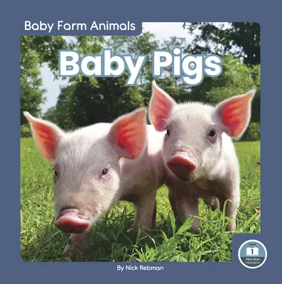 Mláďatá ošípaných - Baby Pigs