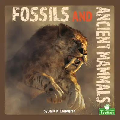 Fosílie a staroveké cicavce - Fossils and Ancient Mammals