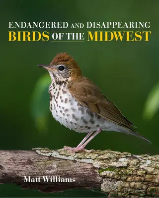 Ohrozené a miznúce vtáky stredozápadu - Endangered and Disappearing Birds of the Midwest
