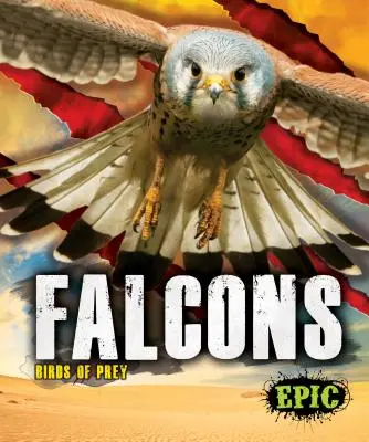Sokoli - Falcons