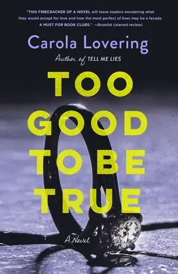 Príliš dobré, aby to bola pravda - Too Good to Be True