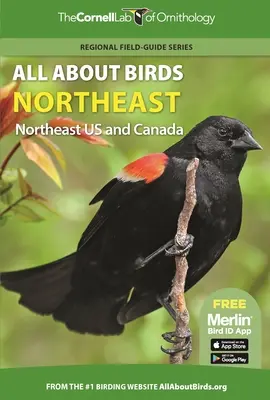 Všetko o vtákoch Severovýchod: Severovýchod USA a Kanada - All about Birds Northeast: Northeast Us and Canada