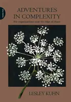 Dobrodružstvá v komplexnosti - pre organizácie na pokraji chaosu - Adventures in Complexity - For Organisations Near the Edge of Chaos
