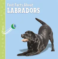 Rýchle fakty o labradoroch - Fast Facts About Labradors