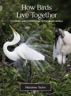 Ako spolu žijú vtáky: Kolónie a spoločenstvá vo vtáčom svete - How Birds Live Together: Colonies and Communities in the Avian World