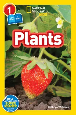 Rastliny - Plants