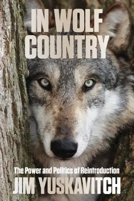 V krajine vlkov: The Power and Politics of Reintroduction - In Wolf Country: The Power and Politics of Reintroduction