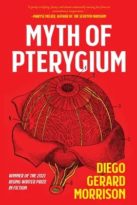 Mýtus o Pterygiu - Myth of Pterygium