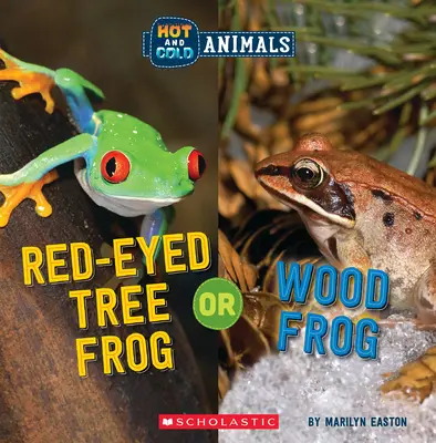 Žaba stromová červenooká alebo žaba lesná (horúce a studené zvieratá) - Red-Eyed Tree Frog or Wood Frog (Hot and Cold Animals)
