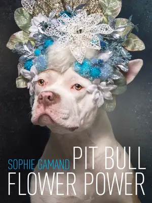 Pitbull Flower Power - Pit Bull Flower Power