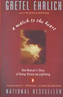 Zápalka pre srdce: Príbeh jednej ženy, ktorú zasiahol blesk - A Match to the Heart: One Woman's Story of Being Struck by Lightning