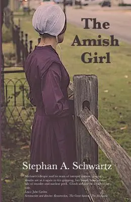 Amišské dievča: Román o smrti a vedomí - The Amish Girl: A Novel of Death and Consciousness