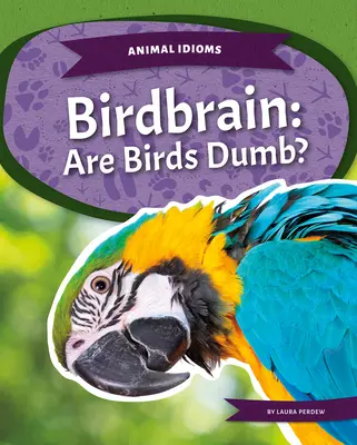 Vtáčí mozog: Sú vtáky hlúpe? - Birdbrain: Are Birds Dumb?