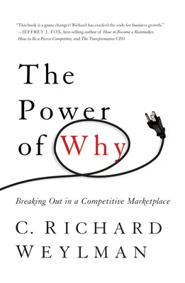 Sila prečo: Ako sa presadiť na konkurenčnom trhu - The Power of Why: Breaking Out in a Competitive Marketplace