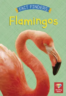 Plameniaky - Flamingos