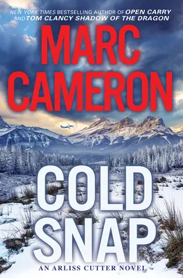 Cold Snap: Napínavý román plný akcie - Cold Snap: An Action Packed Novel of Suspense