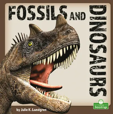 Skameneliny a dinosaury - Fossils and Dinosaurs