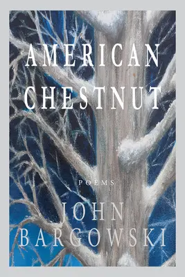 Americký gaštan - American Chestnut