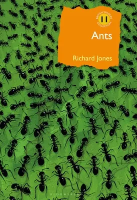 Mravce: Mravce: cesta za spoločenským životom: Mravce: cesta za spoločenským životom - Ants: The Ultimate Social Insects