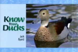 Poznajte svoje kačice - Know Your Ducks