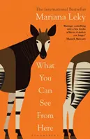 Čo odtiaľto vidíte - Fenomén „teplého a zvedavého“ bestselleru - What You Can See From Here - The 'warm and curious' bestselling phenomenon