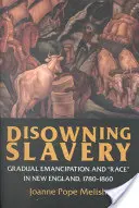 Zrieknutie sa otroctva: Postupná emancipácia a rasa v Novom Anglicku v rokoch 1780-1860 - Disowning Slavery: Gradual Emancipation and Race in New England, 1780-1860