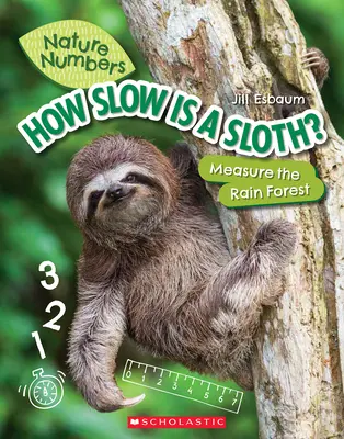 Ako pomalý je leňochod? (Prírodné čísla): Meranie dažďového pralesa (1) - How Slow Is a Sloth? (Nature Numbers): Measure the Rainforest
