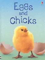 Vajíčka a kuriatka - Eggs and Chicks