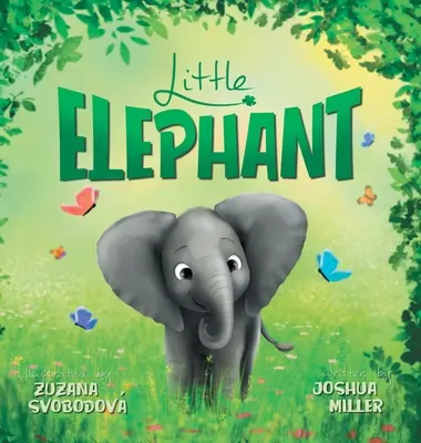 Malý sloník - Little Elephant