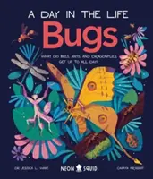Chrobáky (Deň v živote) - Čo robia včely, mravce a vážky celý deň? - Bugs (A Day in the Life) - What Do Bees, Ants, and Dragonflies Get up to All Day?