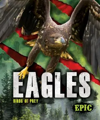 Orly - Eagles